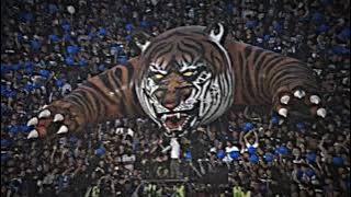 jedar jedug JJ PERSIB #short  #supporter #bobotoh #persibbandung