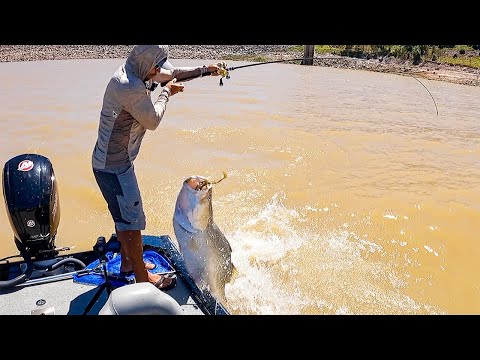 GIANT Fish Jumped in Boat: Unbelievable Moment!