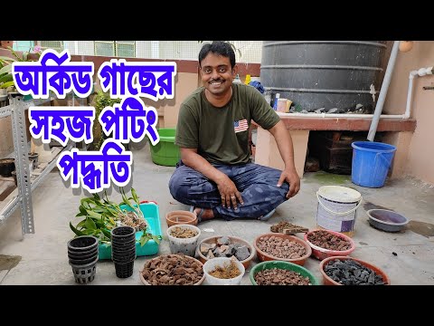 ভিডিও: অর্কিড: বাড়িতে ফুল ফোটার পরে যত্ন নিন। কিভাবে সবকিছু ঠিক করতে?