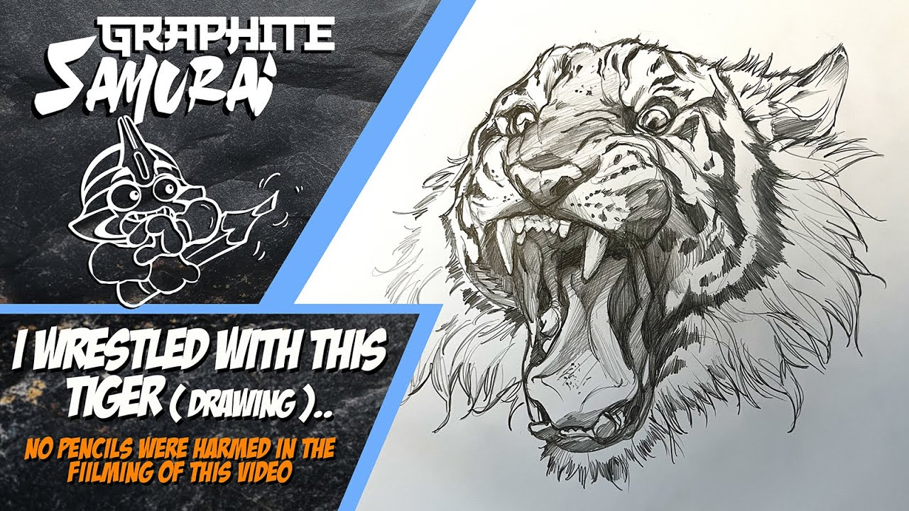 Tiger pencil drawing I wrestled with and lived to tell the tail...see what I did there?
