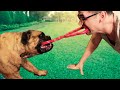 Weird Things All Dog Owners Do #Poop4U