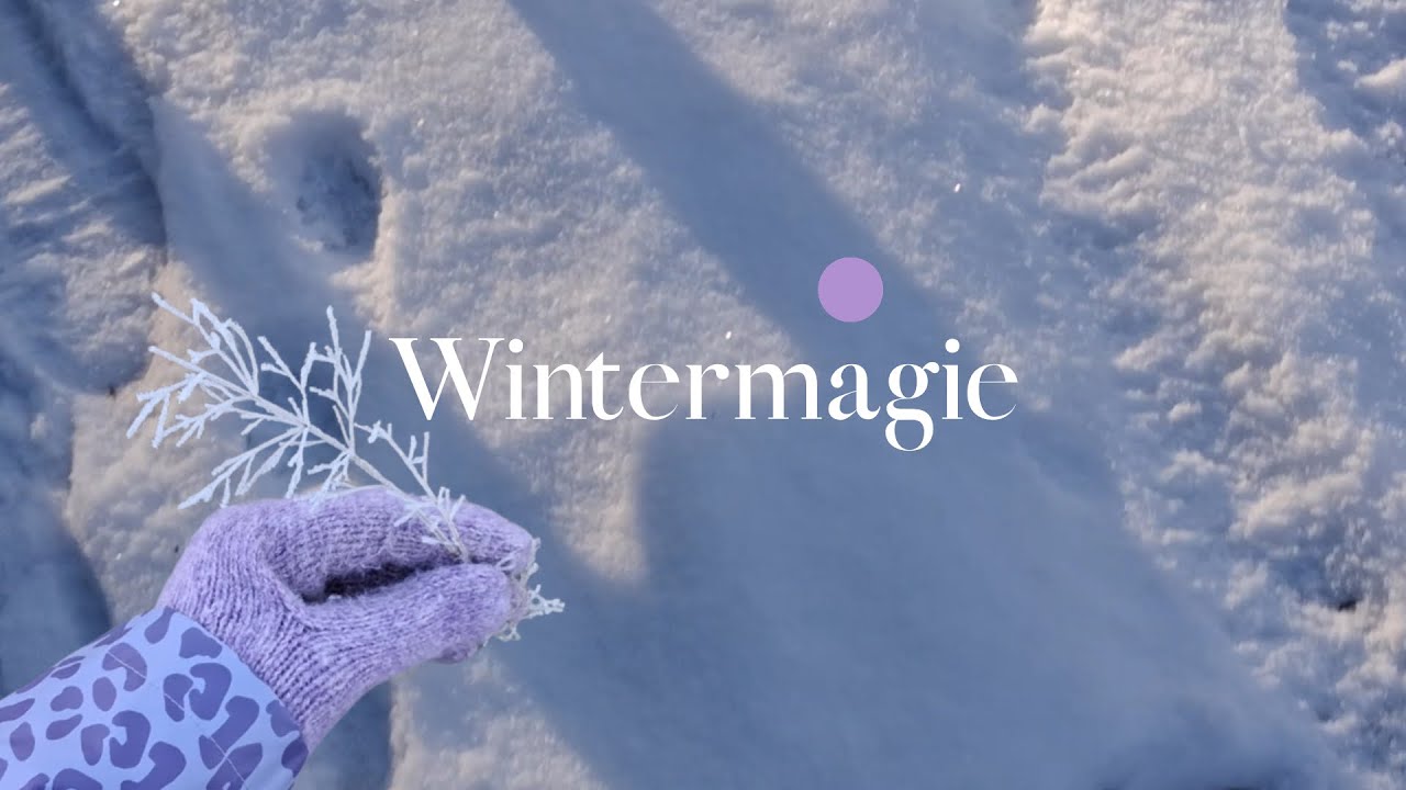 zwei winterleise Wege | Frostmomente & sanftes Schneegestöber 