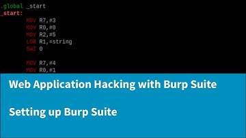 Web Application Hacking with Burp Suite - Setting up Burp Suite