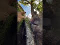 Escalando en La Pedriza la vía Fulgencio del Hueso
