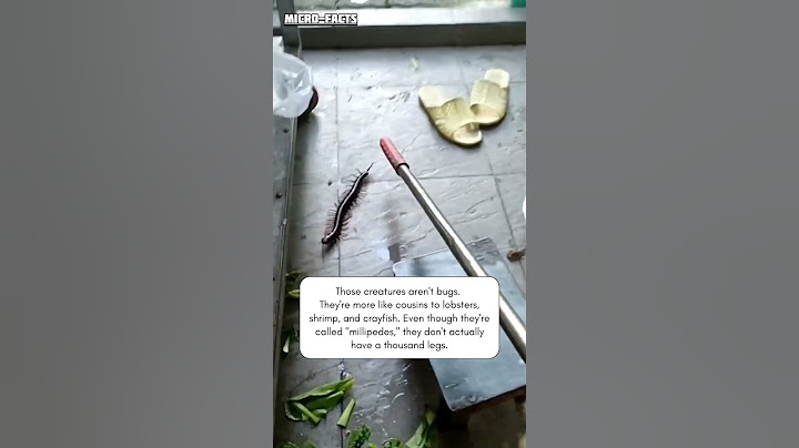 #Funny girl's #reaction centipede #microfacts