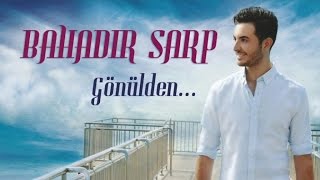 Bahadır Sarp - Anadolumda Resimi