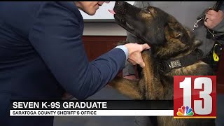Seven new K-9 cops ready for action
