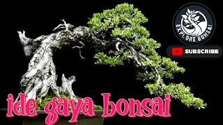 Inspirasi gaya bonsai tertiup angin