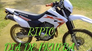 HONDA XR 250 TORNADO  PRUEBA  2021 / testando tornado xr / LA CRUZ