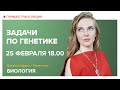 Биология | Задачи по генетике