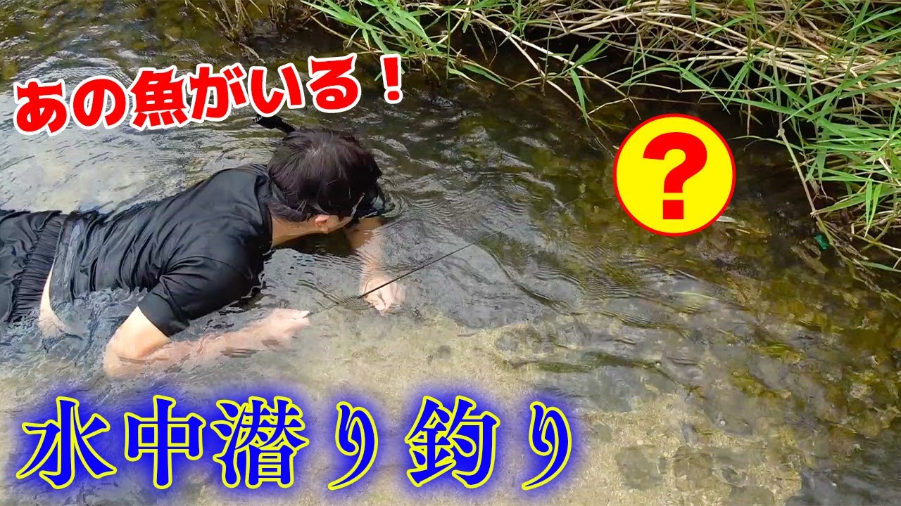 魚を見ながら釣りをしたら大量に釣れた!?