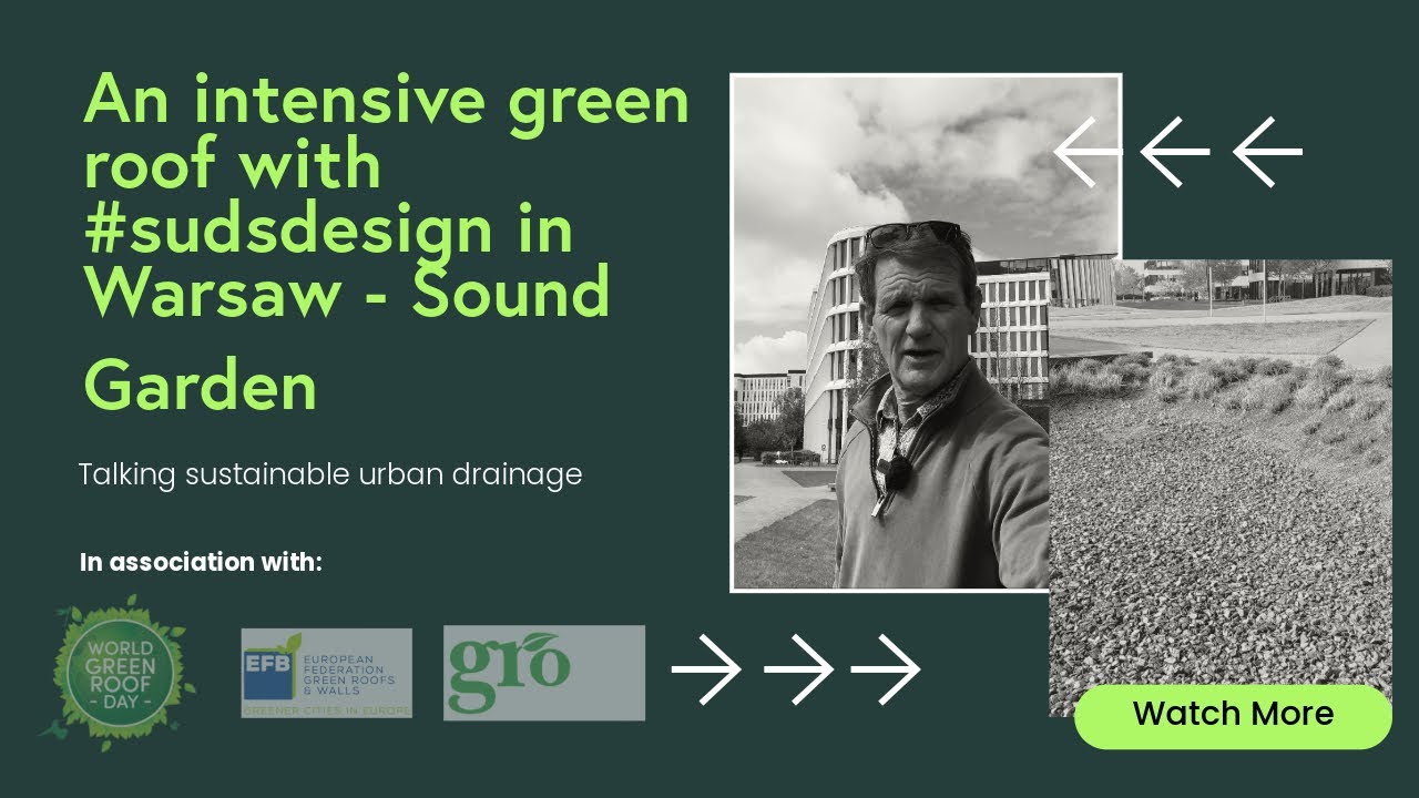 An intensive green roof with 