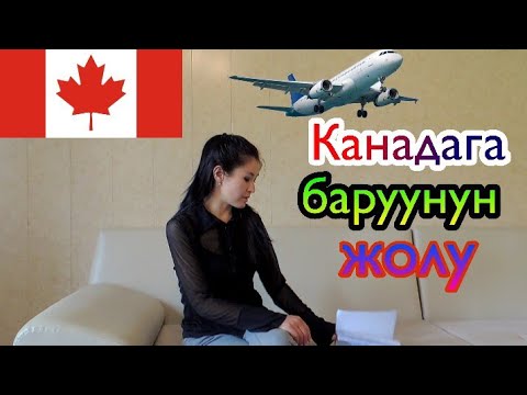 Video: Канадага кантип чалса болот