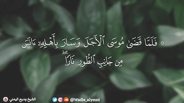 " أن يا موسى إني أنا الله رب العالمين " - تلاوة خاشعة من سورة القصص - الشيخ وديع اليمني