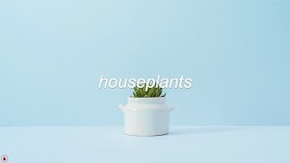 Easy Life - Houseplants (Lyrics) chords