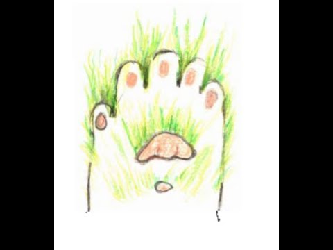 The drawings of Cheryl Roe - CATSPEAK - YouTube