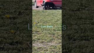 Lost Balls