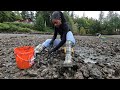 Outdoor Fun Digging CLAMS and Oysters in Shelton Washington | One One Cocoa