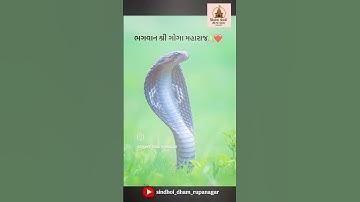 #jaygoga #goga #gogamaharaj #gogabapa#song #trendingreels #viral #gogaislife #snake #gogamaharaj
