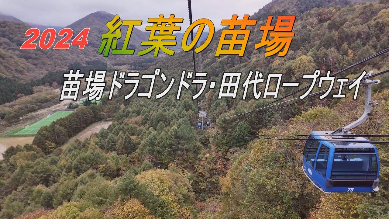 2024年　紅葉の苗場　日本最長の苗場ドラゴンドラ＆日本一の瞬間地上高　田代ロープウェイ NAEBA DRAGONDOLA & TASHIRO ROPEWAY