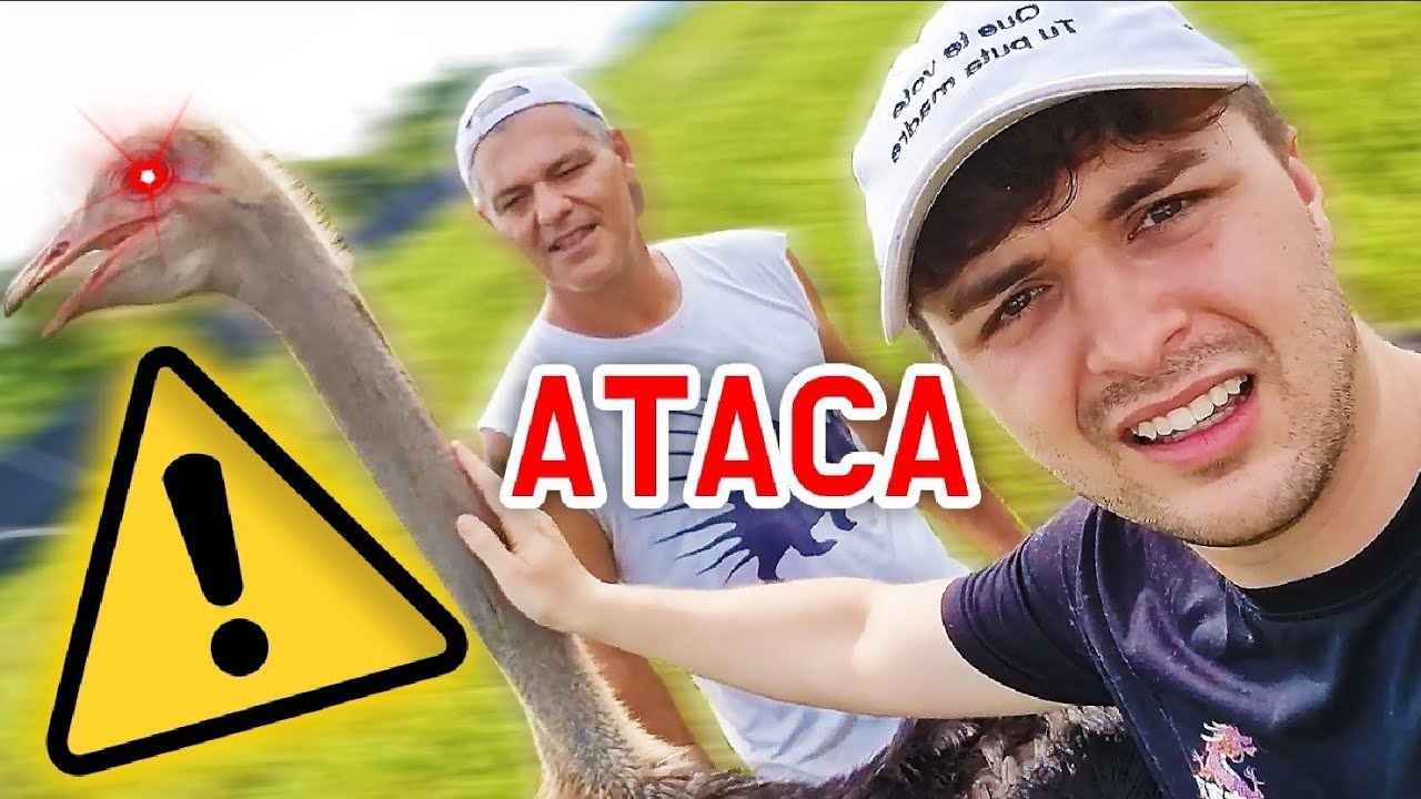 Dalas Debate Vs Frank Cuesta sobre su vídeo Fake (Episodio 2)