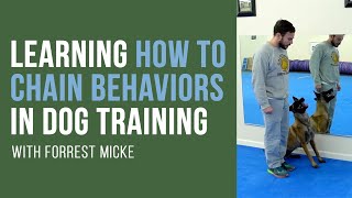 Learning How to Chain Behaviors in Dog Training with Forrest Micke