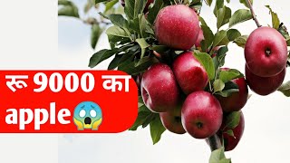 9 हजार का apple #shorts #apple #factsvideos