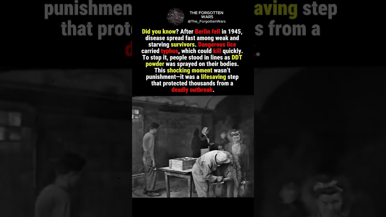 When Berlin Was Crawling with Lice in 1945 😱 