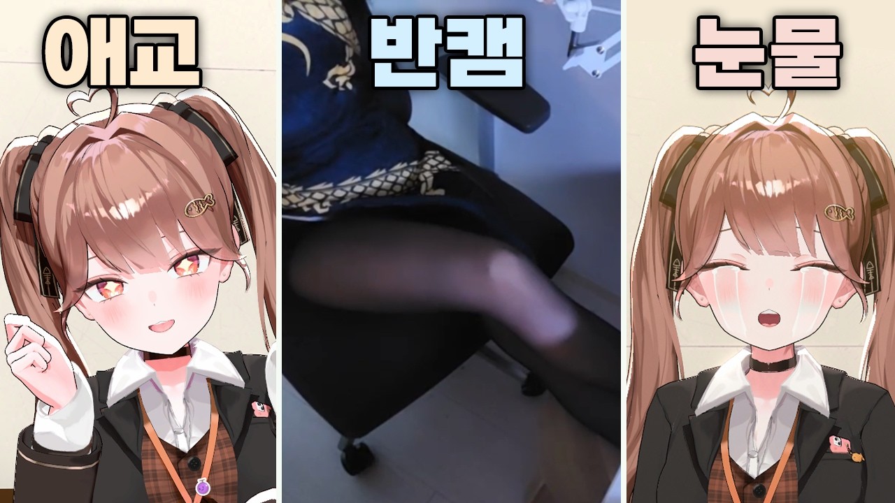 여자버튜버는 되는데 남자버튜버는 안되는 것