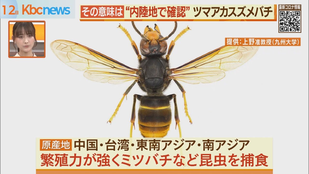 Invasive Species 