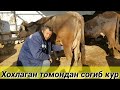 ТЕРГАЧИ ЖУМА БОЗОР КУЧАТЛАРГА ТУЛИБДИ