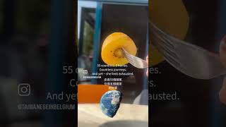 Im lost in my life. I just moved to Belgium.