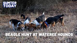Sumter Today: Wateree Hounds Hunting Club