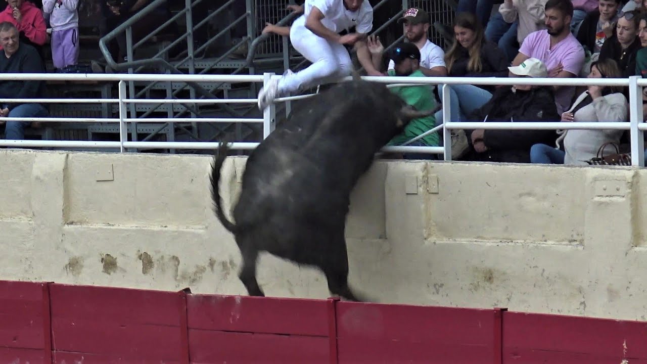 CODOGNAN COURSE DE TAÜ NEUF 23.04.2023