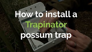 How to install a Trapinator possum trap — Otago Peninsula Biodiversity Group (OPBG)