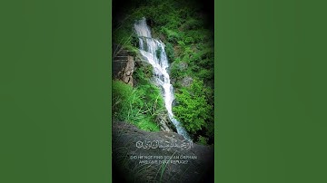 ماهر المعيقلي سورة الضحى | تلاوة عذبة ومؤثرة"