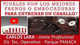 ¿CUÁLES SON LOS MEJORES FRENOS O EMBOCADURAS PARA ENTRENAR UN CABALLO? | On HORSES CHANNEL