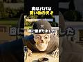 本当の値段が見えたら?