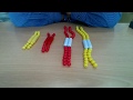 Meiosis Modeling - Pop Beads