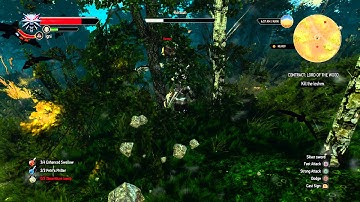 The Witcher 3 - Contract: Lord of the Wood: Leshen "Kernun" Cutscene & Fight, Black Unicorn Sword