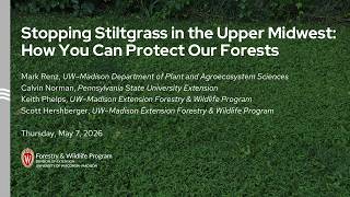Stopping Stiltgrass in the Upper Midwest: How You Can Protect Our Forests