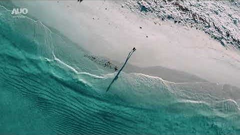 AUO Display Plus 130" LED Display with Controller