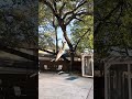 CrossFit Mainsite 250617 sit-ups and rope climbs #crossfit