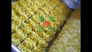 Fruit processing equipment/quick frozen machine/pineapple processing plant/fruit freezing line
