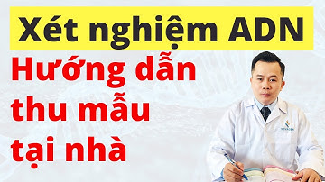 4 Bước Thu Mẫu Xét Nghiệm ADN Huyết Thống tại nhà ĐƠN GIẢN