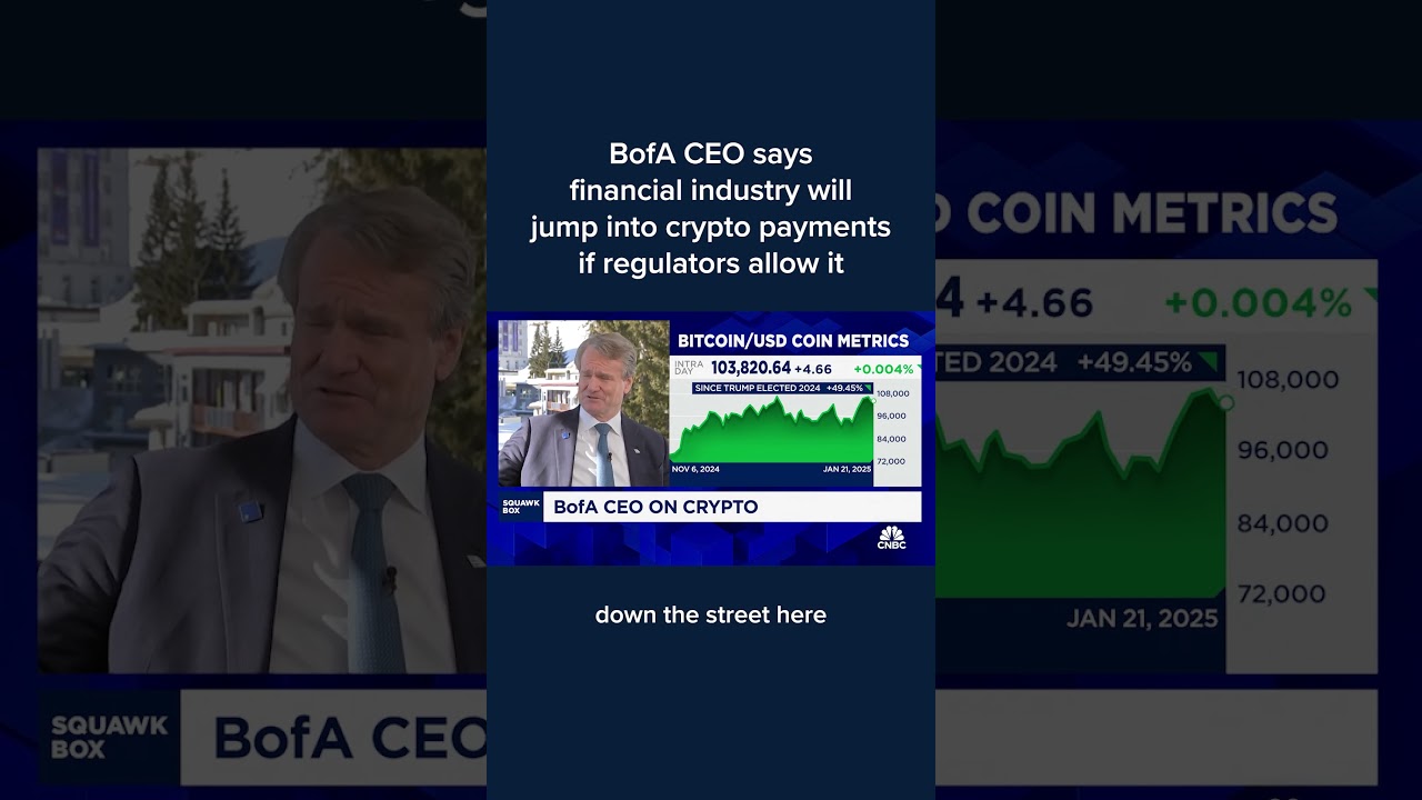 BofA CEO says financial industry will jump into crypto payments if  regulators allow it - YouTube