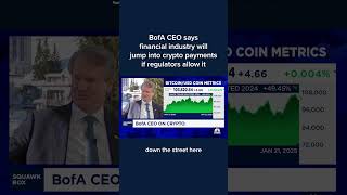 BofA CEO says financial industry will jump into crypto payments if regulators allow it