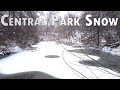 NYC Walking in the Snow! Central Park, Grand Central, 5th Avenue | Binaural | ASMR