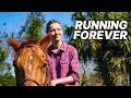 Running forever  romance film  horse movie  love story  martin kove