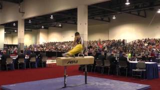 Adrian de los Ageles - Pommel Horse - 2016 Winter Cup Finals